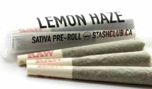Lemon Haze (Pre-Roll)