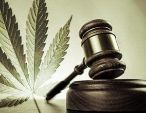 cannabis legal 1 1