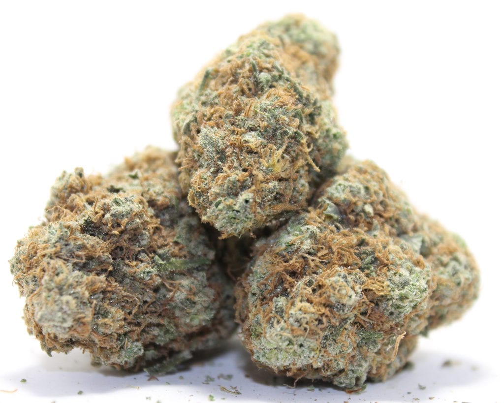 cheapweed New York Diesel Strain Wholesale Cannabis/Marijuana Strain Review