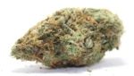 New York Diesel Wholesale Dispensary Review Cheapweed.ca