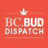 bcbd logo 100