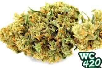 Featured cb dream strain review 420 express