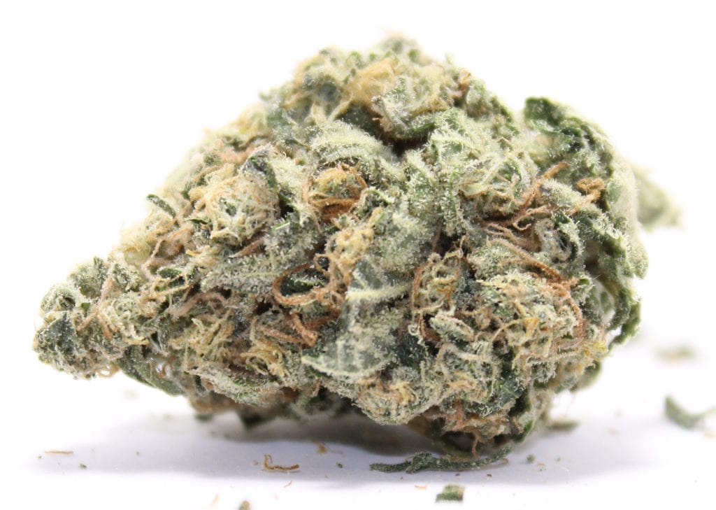 cheapweed.io review Jack Herer Cannabis/Marijuana Wholesale Strain Review