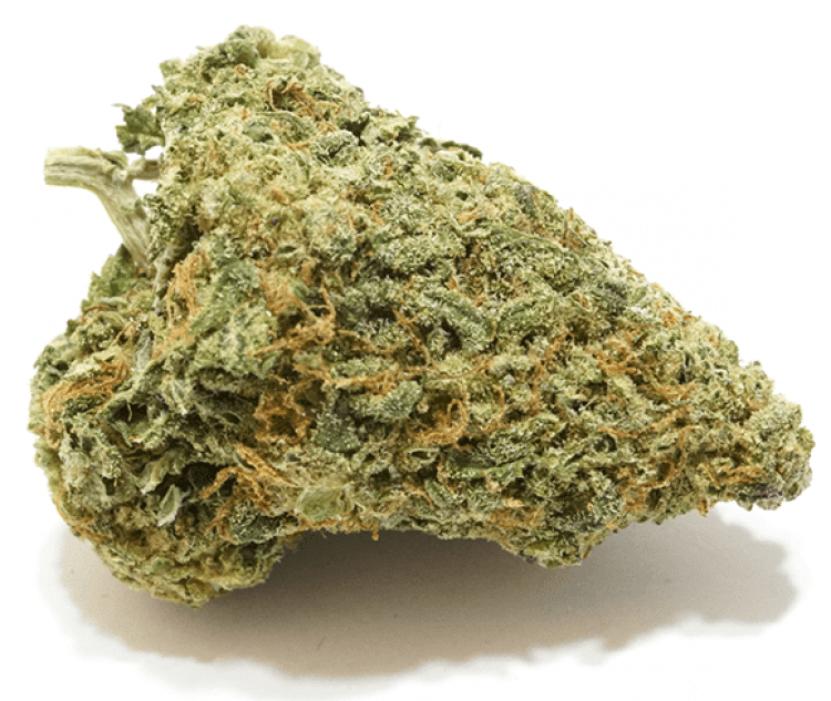 Master Yoda Cannabis/Marijuana Strain Review