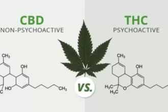 CBD and THC compared with molecules
