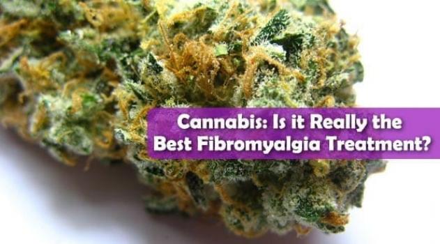 Cannabis and Fibromyalgia Treatment best header