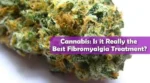 Cannabis and Fibromyalgia Treatment best header
