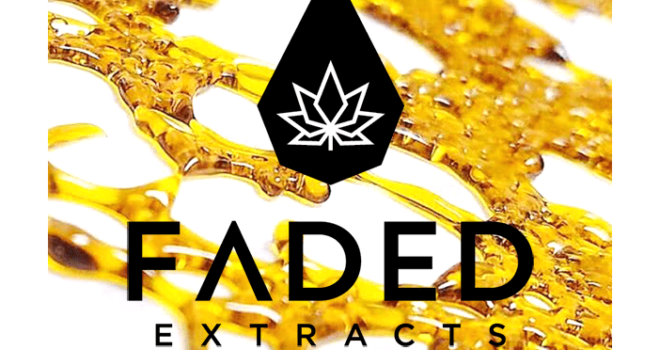 Faded Extracts Assorted