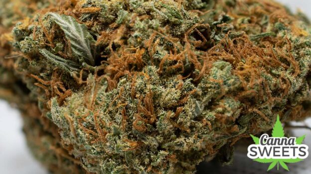 canna sweets blue dream strain reviews and dispensary review