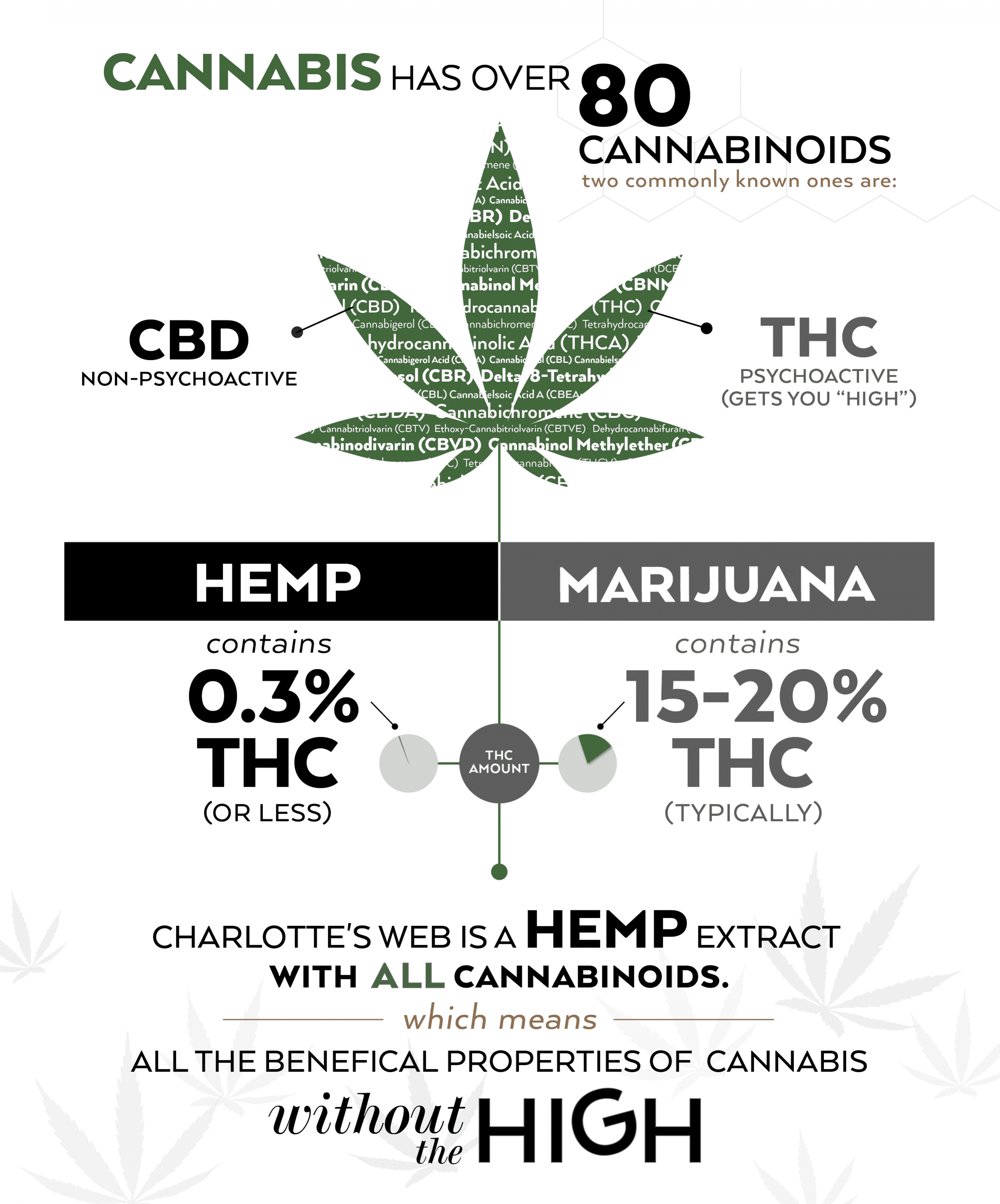 CW cannabis infograph 2 rentina