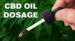 CBD oil dosage herb approach