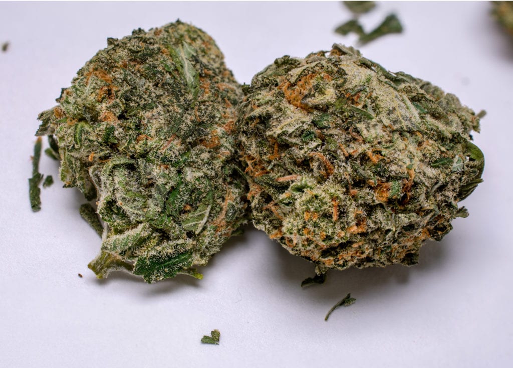 two buds of jet fuel og review cheapweed.ca