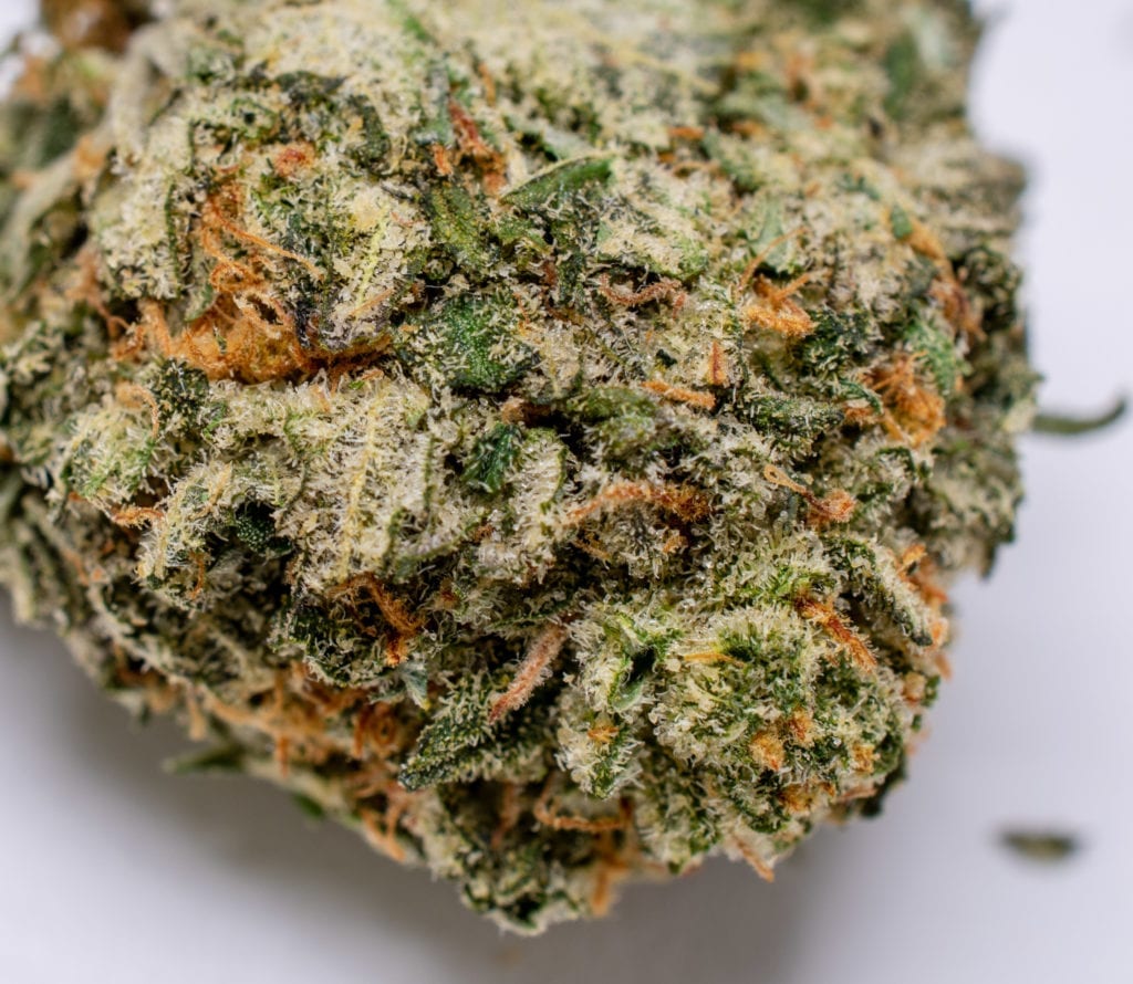 Jet Fuel OG Strain Review Cheapweed.ca