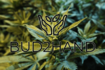 Bud2hand Logo