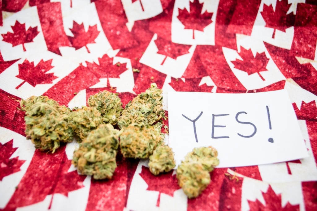 marijuana cannabis weed pot canada legalize buds getty