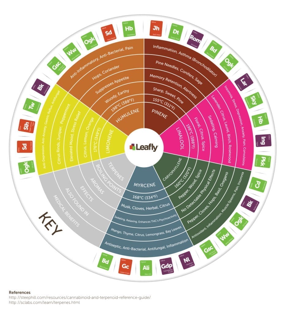 jXSS0pS1Sw2p2eq176GL Leafly Cannabis Terpene Wheel Infographic