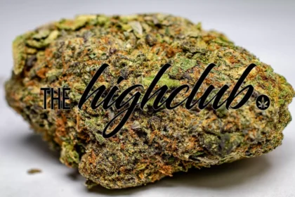 black nuken featured image from thehighclub.ca