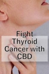 fight thyroid cancer with cbd 
