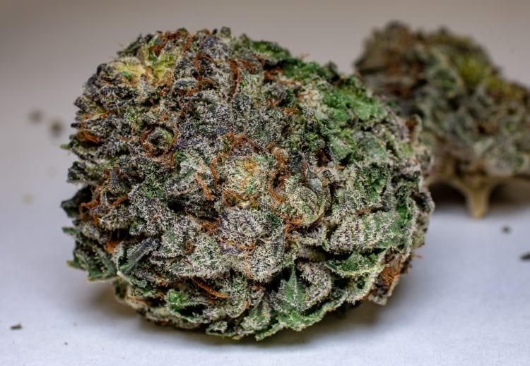 God's Green Crack Buy My Weed Online Review