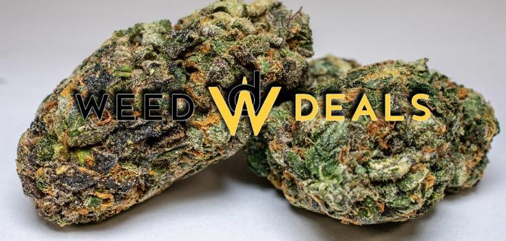 rockstar fire weed deals featured image
