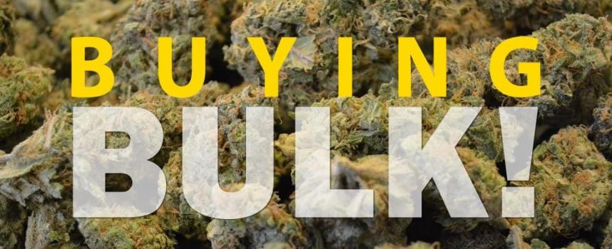 Buying Bulk Marijuana