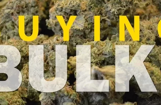 Buying Bulk Marijuana