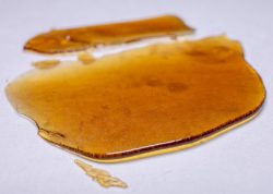 Girl Scout Cookie Shatter