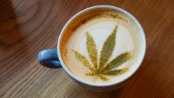 cannabis coffe