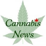 cannabis news