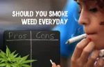 marijuanabreak smoke weed everyday jpg webp