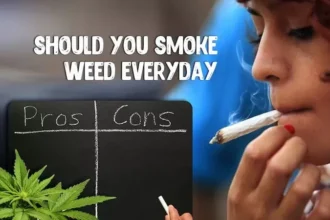 marijuanabreak smoke weed everyday jpg webp