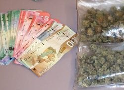 weed and money canada