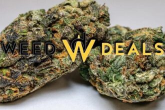 weed-deals