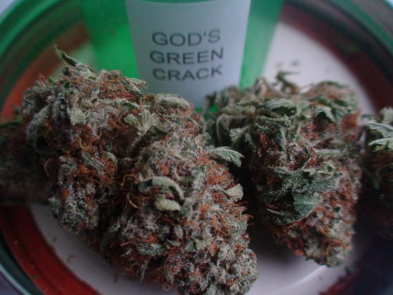 god's Green Crack - Healingbbudhashop.ca
