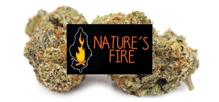 natural fire