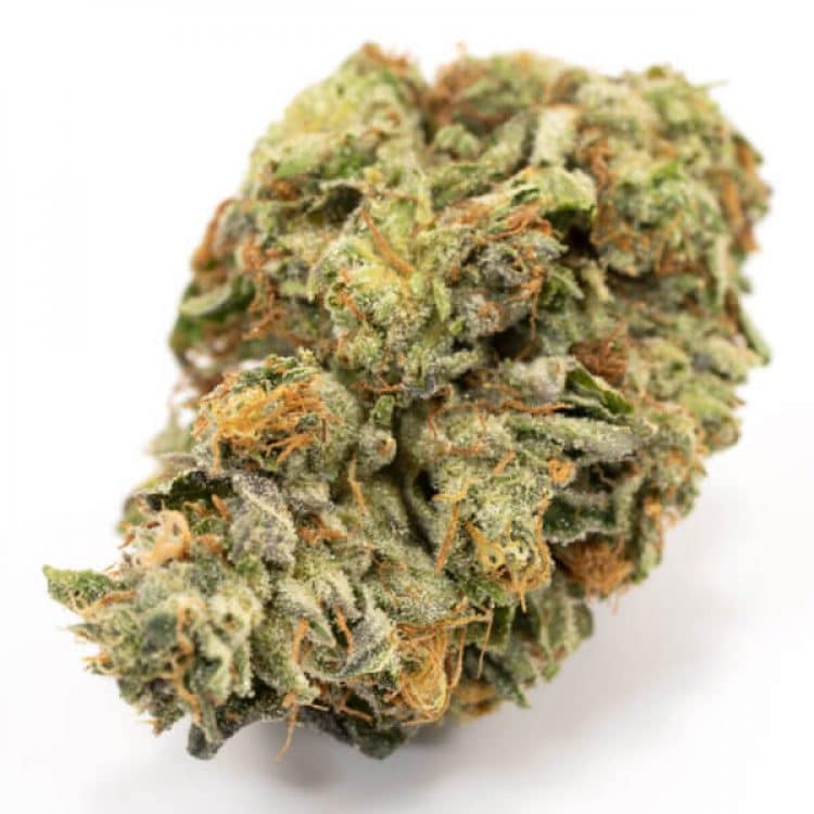 greasy bubba cannabis