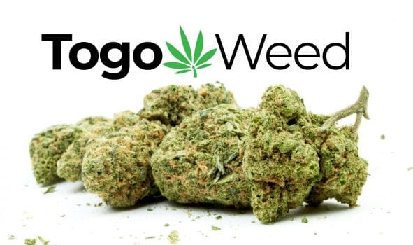 togoweed review bud and logo