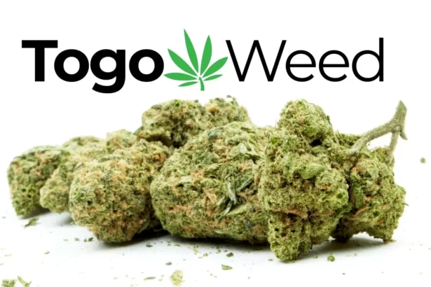 togoweed review bud and logo