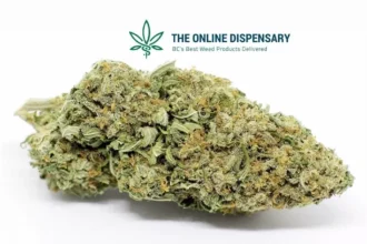the online dispensary