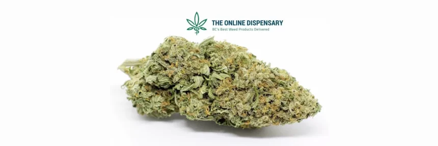the online dispensary