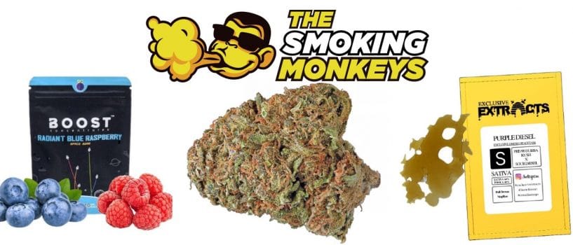 the smoking monkeys