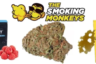 the smoking monkeys