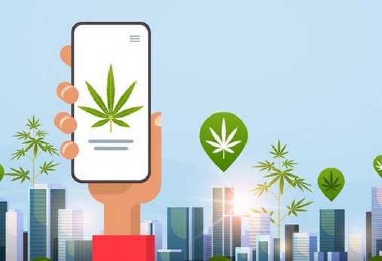 ordering with the top online dispensaries in Canada using mobile phone 