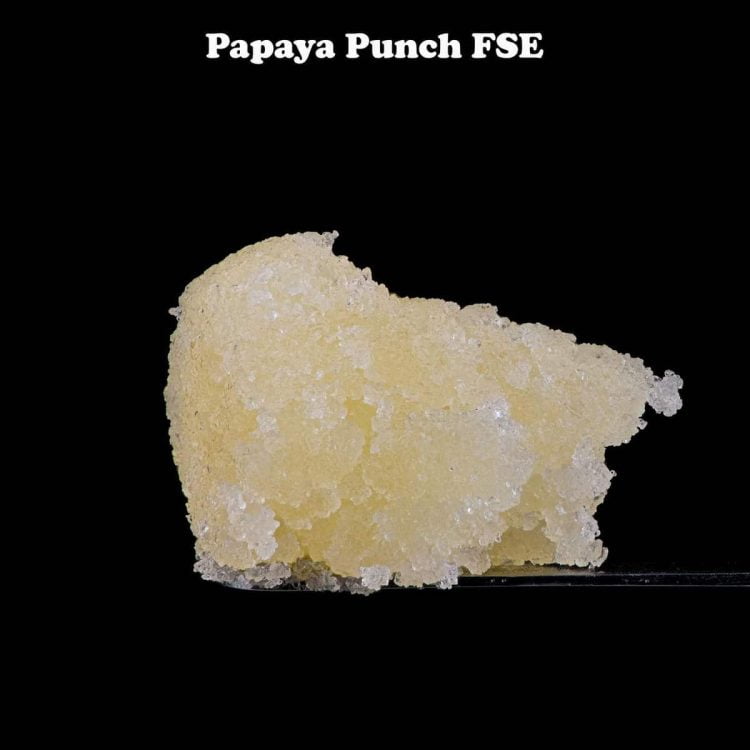 papaya punch 2 fse kind selections 1