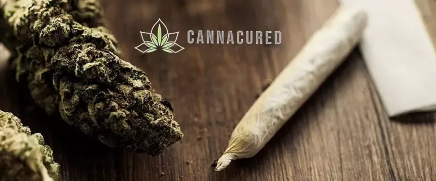 cannabis on table with cannacured logo